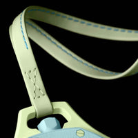 Swatch x Audemars Piguet Royal Pop 'BLAUE ACHT'